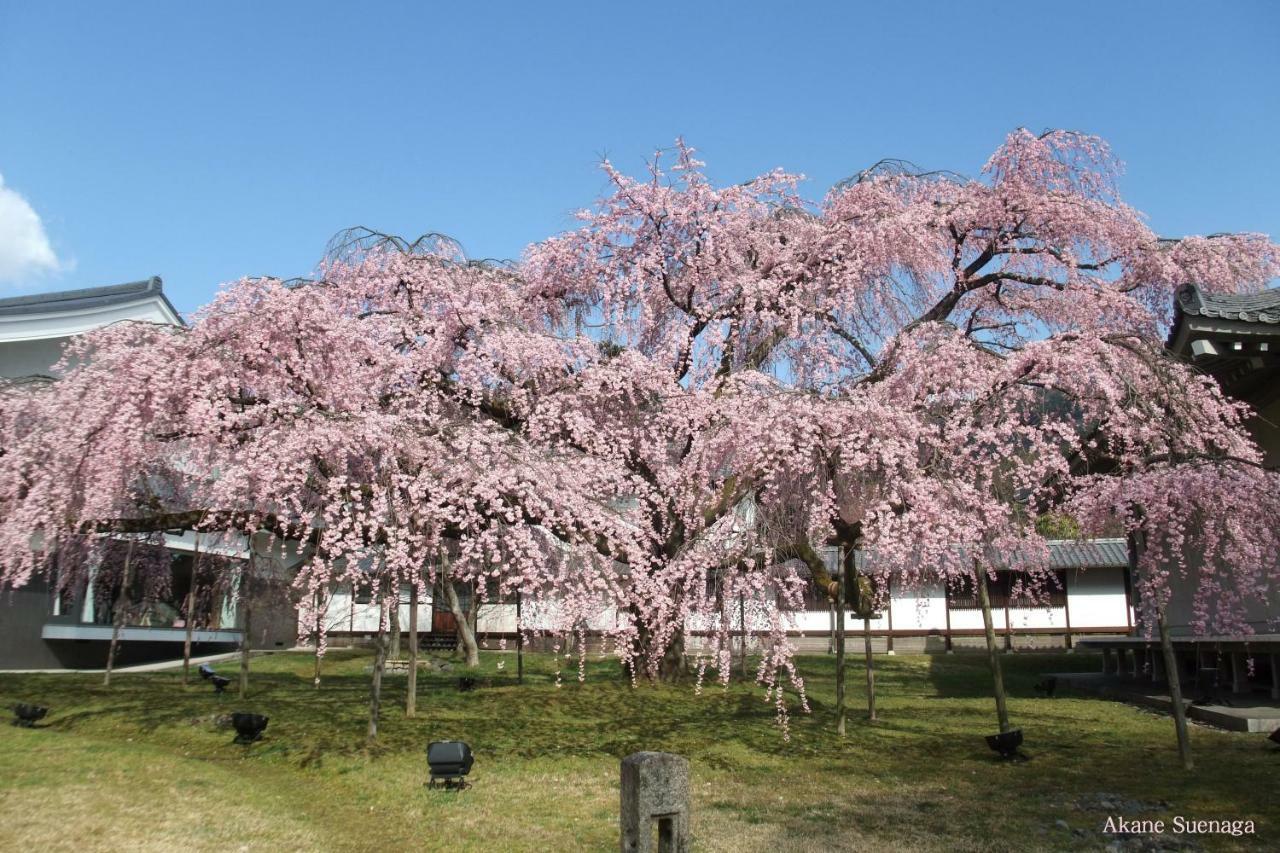 Kyoto Home Higashikujo Екстериор снимка